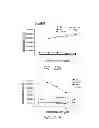 Fig. 29 - Compositions and methods for bone formation and modeling