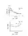 Fig. 32 - Compositions and methods for bone formation and modeling