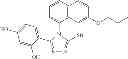 Fig. 173 - FORMULATION AND DOSING OF HSP90 INHIBITORY COMPOUNDS