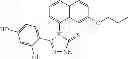 Fig. 174 - FORMULATION AND DOSING OF HSP90 INHIBITORY COMPOUNDS
