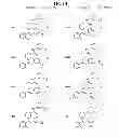 Fig. 09 - C5AR antagonists