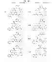 Fig. 20 - C5AR antagonists