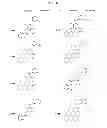 Fig. 25 - C5AR antagonists
