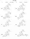 Fig. 37 - C5AR antagonists