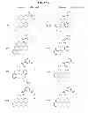 Fig. 41 - C5AR antagonists