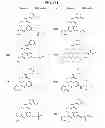 Fig. 47 - C5AR antagonists