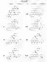 Fig. 63 - C5AR antagonists