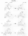 Fig. 67 - C5AR antagonists