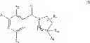 Fig. 16 - Selective CCR2 antagonists