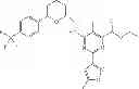 Fig. 96 - Selective CCR2 antagonists