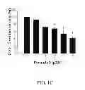 Fig. 04 - Sulfur-containing compound, method of preparation and pharmaceutical uses thereof