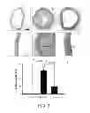 Fig. 08 - Sulfur-containing compound, method of preparation and pharmaceutical uses thereof