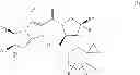 Fig. 02 - Imidazothiazole Derivatives Having Proline Ring Structure