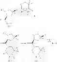 Fig. 348 - Imidazothiazole Derivatives Having Proline Ring Structure