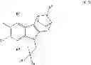 Fig. 131 - Bridged heterocyclic compounds and methods of use