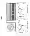 Fig. 05 - Benzimidazole derivatives as selective blockers of persistent sodium current