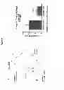 Fig. 12 - Benzimidazole derivatives as selective blockers of persistent sodium current