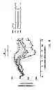 Fig. 03 - PHARMACEUTICAL COMPOSITIONS
