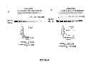 Fig. 11 - Selective inhibition of polyglutamine protein expression
