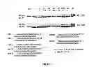 Fig. 13 - Selective inhibition of polyglutamine protein expression