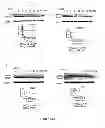 Fig. 14 - Selective inhibition of polyglutamine protein expression