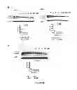 Fig. 15 - Selective inhibition of polyglutamine protein expression
