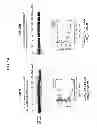 Fig. 18 - Selective inhibition of polyglutamine protein expression