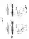 Fig. 19 - Selective inhibition of polyglutamine protein expression