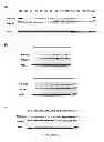 Fig. 23 - Selective inhibition of polyglutamine protein expression