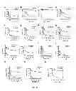 Fig. 29 - Selective inhibition of polyglutamine protein expression