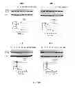 Fig. 32 - Selective inhibition of polyglutamine protein expression