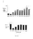 Fig. 35 - Selective inhibition of polyglutamine protein expression