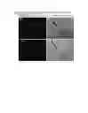 Fig. 06 - Composition for regenerating normal tissue from fibrotic tissue