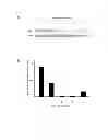 Fig. 17 - Composition for regenerating normal tissue from fibrotic tissue