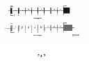 Fig. 04 - GENE THERAPY FOR SULFATASE DEFICIENCY