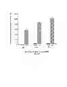 Fig. 07 - GENE THERAPY FOR SULFATASE DEFICIENCY