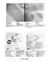 Fig. 03 - Delivery of oligonucleotide functionalized nanoparticles