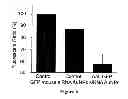 Fig. 07 - Delivery of oligonucleotide functionalized nanoparticles