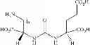 Fig. 09 - Cancer Cell Targeting Using Nanoparticles