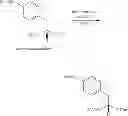 Fig. 19 - Cancer Cell Targeting Using Nanoparticles