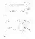Fig. 02 - Medicaments Based on Dinuclear Arene Ruthenium Complexes Comprising Bridging Thiolato, Selenolato or Alkoxo Ligands