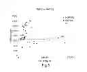 Fig. 06 - DIAGNOSTIC TEST
