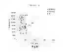 Fig. 09 - DIAGNOSTIC TEST