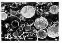 Fig. 01 - Epoxy composite