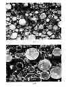 Fig. 03 - Epoxy composite