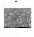 Fig. 02 - Thermoplastic Resin Composition and Molded Product Using the Same