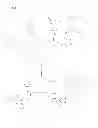 Fig. 02 - Functional materials having a controllable viscosity or reversible crosslinking via aza Diels-Alder reactions with bishydrazones or conjugated bis-Schiff bases