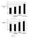 Fig. 07 - Method for functionalization of nanoscale fibers and nanoscale fiber films
