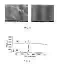 Fig. 08 - Method for functionalization of nanoscale fibers and nanoscale fiber films