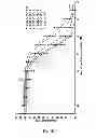 Fig. 03 - JNK inhibitor molecules